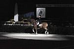 WIHS-10-22-09-DSC_6735-AshleyHolzer-PopArt-Dressage-DDeRosaPhoto.jpg