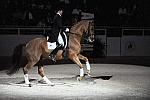 WIHS-10-22-09-DSC_6788-AshleyHolzer-PopArt-Dressage-DDeRosaPhoto.jpg