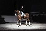 WIHS-10-22-09-DSC_6824-AshleyHolzer-PopArt-Dressage-DDeRosaPhoto.jpg