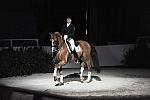 WIHS-10-22-09-DSC_6826-AshleyHolzer-PopArt-Dressage-DDeRosaPhoto.jpg