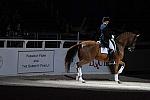 WIHS-10-23-09-DER_7312-AshleyHolzer-PopArt-Dressage-DDeRosaPhoto.jpg