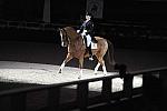 WIHS-10-23-09-DER_7313-AshleyHolzer-PopArt-Dressage-DDeRosaPhoto.jpg