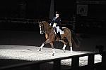 WIHS-10-23-09-DER_7314-AshleyHolzer-PopArt-Dressage-DDeRosaPhoto.jpg