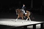 WIHS-10-23-09-DER_7315-AshleyHolzer-PopArt-Dressage-DDeRosaPhoto.jpg