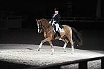 WIHS-10-23-09-DER_7316-AshleyHolzer-PopArt-Dressage-DDeRosaPhoto.jpg