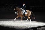 WIHS-10-23-09-DER_7317-AshleyHolzer-PopArt-Dressage-DDeRosaPhoto.jpg