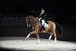 WIHS-10-23-09-DER_7318-AshleyHolzer-PopArt-Dressage-DDeRosaPhoto.jpg