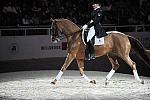 WIHS-10-23-09-DER_7323-AshleyHolzer-PopArt-Dressage-DDeRosaPhoto.jpg
