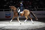 WIHS-10-23-09-DER_7326-AshleyHolzer-PopArt-Dressage-DDeRosaPhoto.jpg
