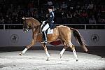 WIHS-10-23-09-DER_7327-AshleyHolzer-PopArt-Dressage-DDeRosaPhoto.jpg