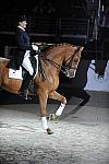 WIHS-10-23-09-DER_7332-AshleyHolzer-PopArt-Dressage-DDeRosaPhoto.jpg