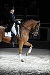 WIHS-10-23-09-DER_7334-AshleyHolzer-PopArt-Dressage-DDeRosaPhoto.jpg