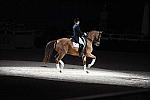 WIHS-10-23-09-DER_7351-AshleyHolzer-PopArt-Dressage-DDeRosaPhoto.jpg