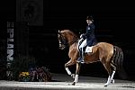 WIHS-10-23-09-DER_7353-AshleyHolzer-PopArt-Dressage-DDeRosaPhoto.jpg