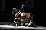 WIHS-10-23-09-DER_7357-AshleyHolzer-PopArt-Dressage-DDeRosaPhoto.jpg