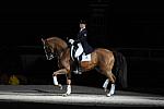 WIHS-10-23-09-DER_7363-AshleyHolzer-PopArt-Dressage-DDeRosaPhoto.jpg