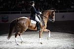 WIHS-10-23-09-DER_7380-AshleyHolzer-PopArt-Dressage-DDeRosaPhoto.jpg