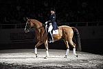 WIHS-10-23-09-DER_7384-AshleyHolzer-PopArt-Dressage-DDeRosaPhoto.jpg