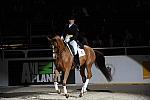 WIHS-10-23-09-DER_7389-AshleyHolzer-PopArt-Dressage-DDeRosaPhoto.jpg