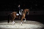 WIHS-10-23-09-DER_7437--AshleyHolzer-PopArt-Dressage-DDeRosaPhoto.jpg