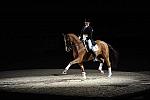 WIHS-10-23-09-DER_7441-AshleyHolzer-PopArt-Dressage-DDeRosaPhoto.jpg
