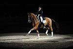 WIHS-10-23-09-DER_7443-AshleyHolzer-PopArt-Dressage-DDeRosaPhoto.jpg