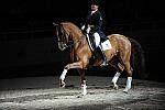 WIHS-10-23-09-DER_7448-AshleyHolzer-PopArt-Dressage-DDeRosaPhoto.jpg