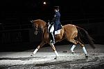 WIHS-10-23-09-DER_7459-AshleyHolzer-PopArt-Dressage-DDeRosaPhoto.jpg