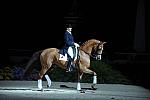 WIHS-10-24-09-DSC_0635-AshleyHolzer-PopArt-Dressage-DDeRosaPhoto.jpg