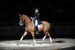 WIHS-10-24-09-DSC_0659-AshleyHolzer-PopArt-Dressage-DDeRosaPhoto.jpg