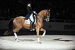 WIHS-10-24-09-DSC_0672-AshleyHolzer-PopArt-Dressage-DDeRosaPhoto.jpg