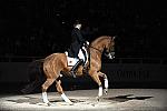 WIHS-10-24-09-DSC_0694-AshleyHolzer-PopArt-Dressage-DDeRosaPhoto.jpg