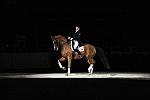 WIHS-10-24-09-DSC_0712-AshleyHolzer-PopArt-Dressage-DDeRosaPhoto.jpg