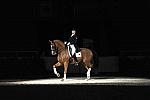 WIHS-10-24-09-DSC_0716-AshleyHolzer-PopArt-Dressage-DDeRosaPhoto.jpg
