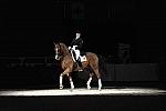 WIHS-10-24-09-DSC_0717-AshleyHolzer-PopArt-Dressage-DDeRosaPhoto.jpg