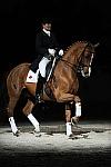 WIHS-10-24-09-DSC_0735-AshleyHolzer-PopArt-Dressage-DDeRosaPhoto.jpg