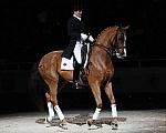 WIHS-10-24-09-DSC_0737-AshleyHolzer-PopArt-Dressage-DDeRosaPhoto.jpg