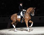 WIHS-10-24-09-DSC_0738-AshleyHolzer-PopArt-Dressage-DDeRosaPhoto.jpg
