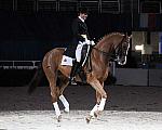 WIHS-10-25-09-DSC_3757-AshleyHolzer-PopArt-Dressage-DDeRosaPhoto.jpg