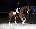 WIHS-10-25-09-DSC_3758-AshleyHolzer-PopArt-Dressage-DDeRosaPhoto.jpg