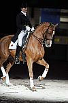 WIHS-10-25-09-DSC_3786-AshleyHolzer-PopArt-Dressage-DDeRosaPhoto.jpg