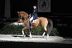 WIHS-10-25-09-DSC_3817-AshleyHolzer-PopArt-Dressage-DDeRosaPhoto.jpg