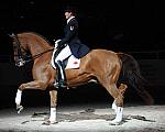 WIHS-10-25-09-DSC_3846-AshleyHolzer-PopArt-Dressage-DDeRosaPhoto.jpg