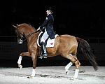 WIHS-10-25-09-DSC_3988-AshleyHolzer-PopArt-Dressage-DDeRosaPhoto.jpg