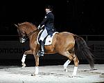 WIHS-10-25-09-DSC_3990-AshleyHolzer-PopArt-Dressage-DDeRosaPhoto.jpg