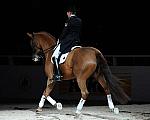 WIHS-10-25-09-DSC_3996-AshleyHolzer-PopArt-Dressage-DDeRosaPhoto.jpg