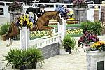 WIHS-10-21-09-DSC_1285-Hunters-Quintessential-WinnAlden-DDeRosaPhoto.jpg