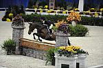 WIHS-10-21-09-DSC_1735-Hunters-AllTheStars-SandyFerrell-DDeRosaPhoto.jpg