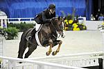 WIHS-10-21-09-DSC_2597-Andiamo-BradWolf-Hunters-DDeRosaPhoto.jpg