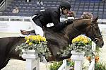 WIHS-10-21-09-DSC_2598-Andiamo-BradWolf-Hunters-DDeRosaPhoto.jpg